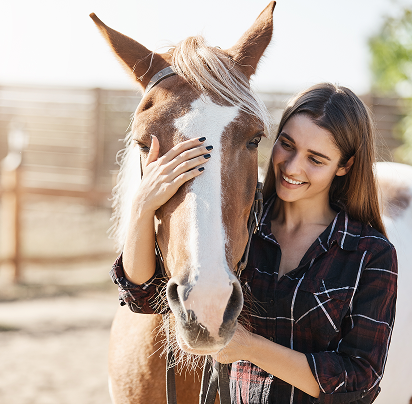 <p>Parlez-nous de votre équidé </p>