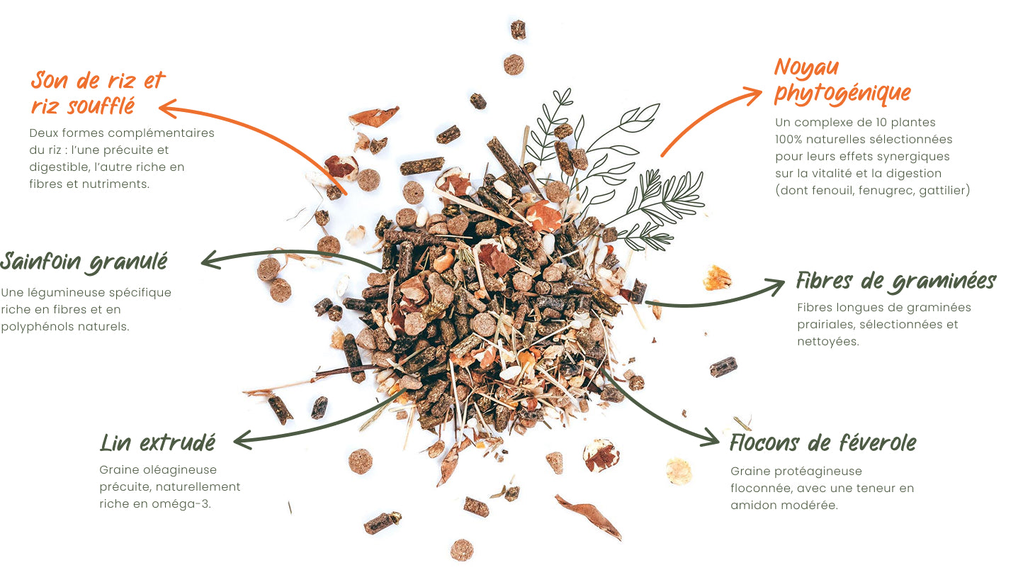 Ingredients FR