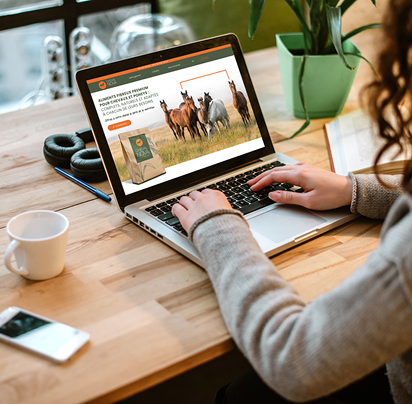 <p>Choisissez votre formule</p>